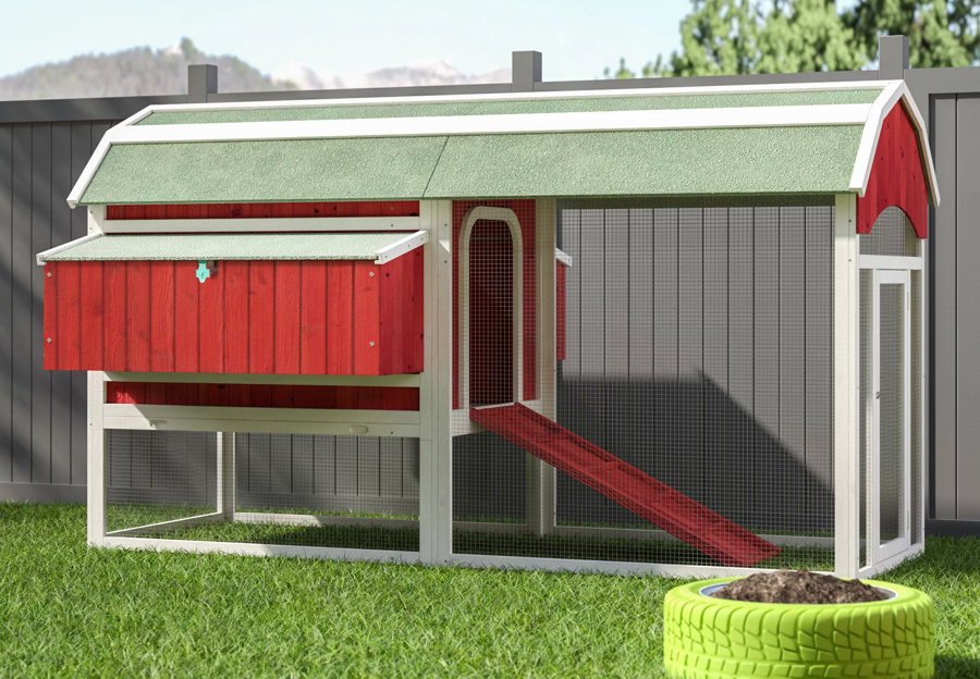 Chicken Coops Wayfair